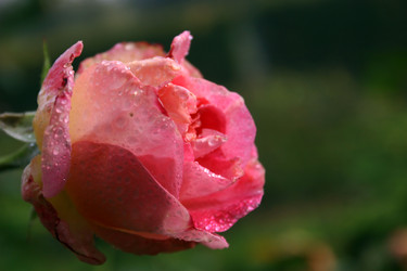 Similar image 7978771