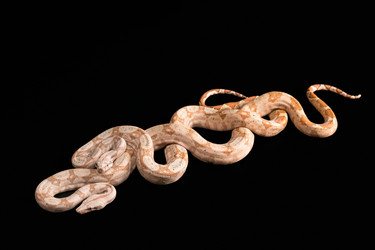 Similar image 7978796