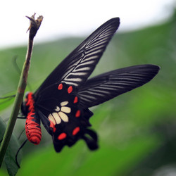 Similar image 7978803