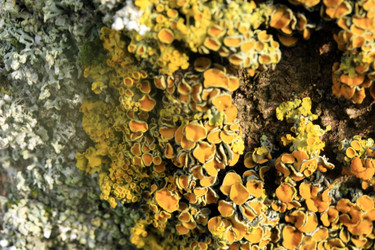 Similar image 7978809