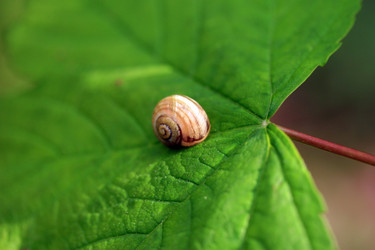 Similar image 7978822