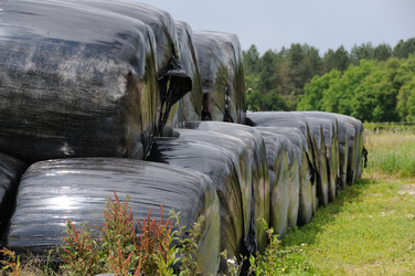 Similar image 7978832