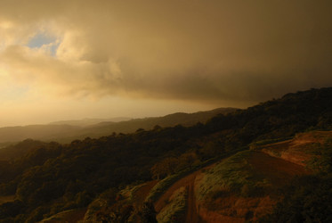 Similar image 7978837