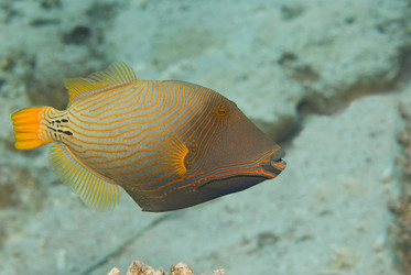 Similar image 7978840