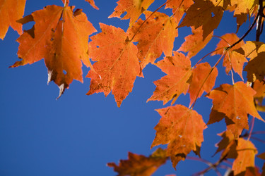 Similar image 7978842