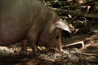 Similar image 7978850