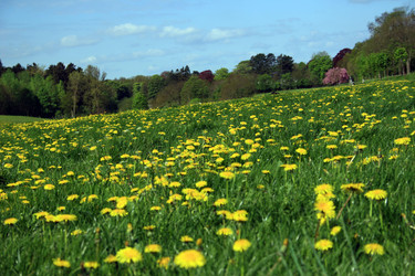 Similar image 7978853