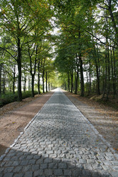 Similar image 7978856