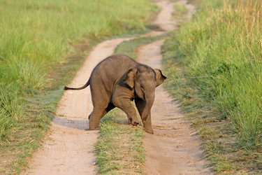 Similar image 7978858