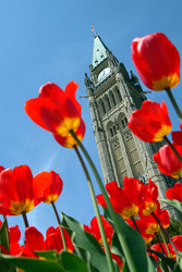 Similar image 7978873