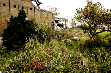 Similar image 7978875