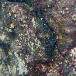 Similar image 7978885