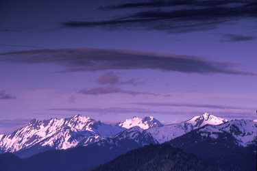 Similar image 7978889