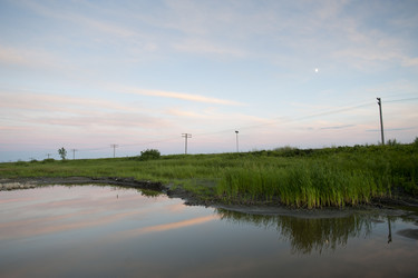 Similar image 7978891