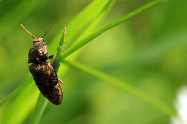 Similar image 7978894