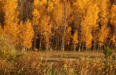 Similar image 7978897