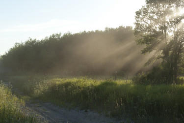 Similar image 7978899