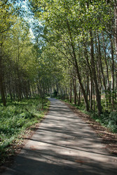 Similar image 7978921