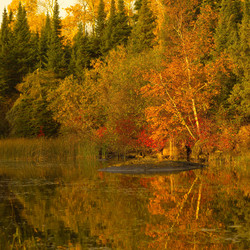 Similar image 7978922