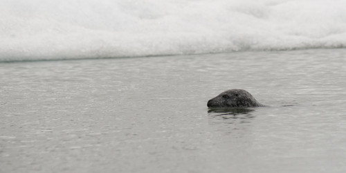 Similar image 7978941