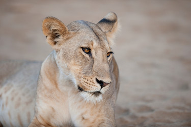 Similar image 7978945