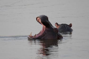 Similar image 7978959