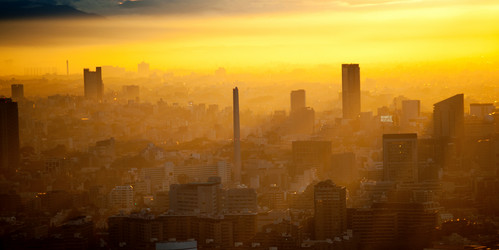 Similar image 7978969