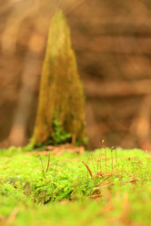 Similar image 7978970