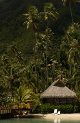 Similar image 7979073