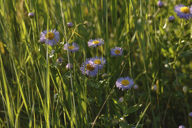 Similar image 7979111