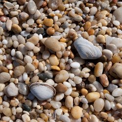 Similar image 7979120