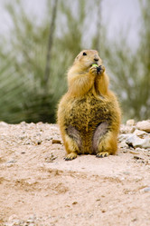 Similar image 7979122