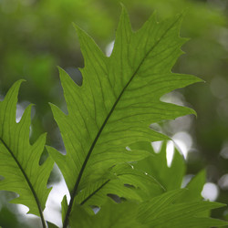 Similar image 7979128