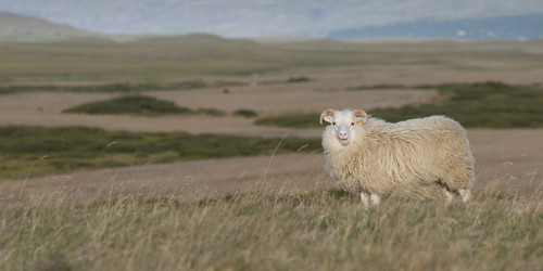 Similar image 7979130