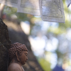 Similar image 7979134