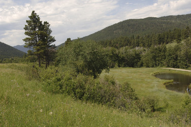 Similar image 7979138