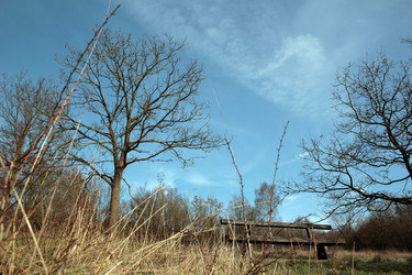 Similar image 7979140