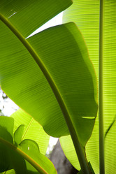 Similar image 7979145