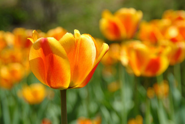 Similar image 7979150