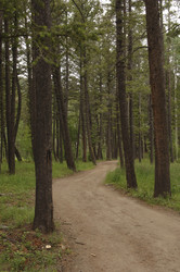 Similar image 7979153