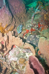 Similar image 7979172