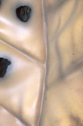 Similar image 7979174