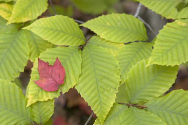 Similar image 7979173