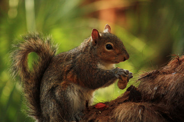 Similar image 7979183