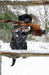 Similar image 7979190