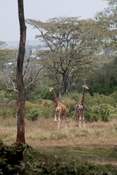 Similar image 7979198