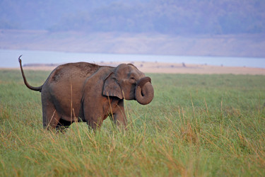 Similar image 7979203