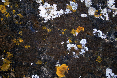 Similar image 7979205