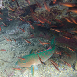 Similar image 7979206