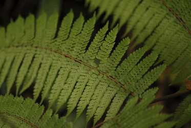 Similar image 7979212